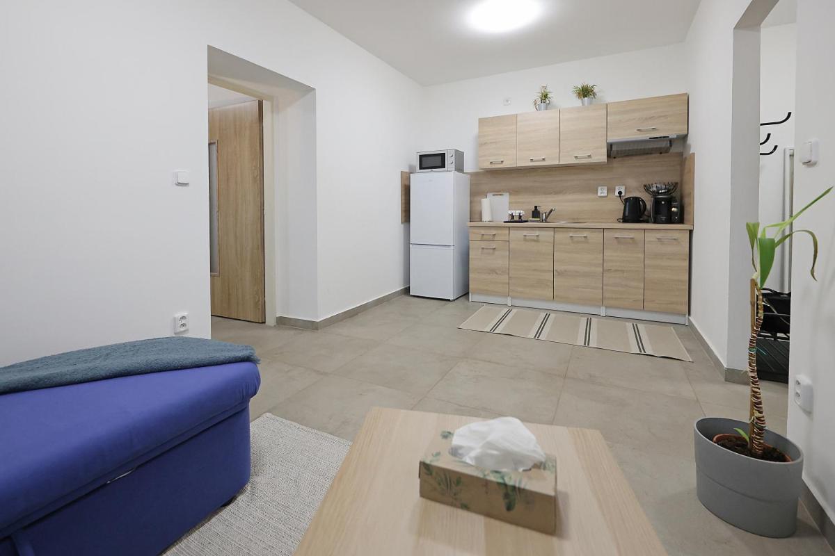 Fara No71 Apart 3 Libice nad Cidlinou Exteriér fotografie